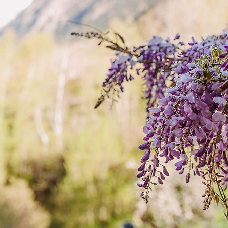 Chambre Ou Gite Dans Une Maison De Montagne - De Suzon A Zelie Entraigues  エクステリア 写真