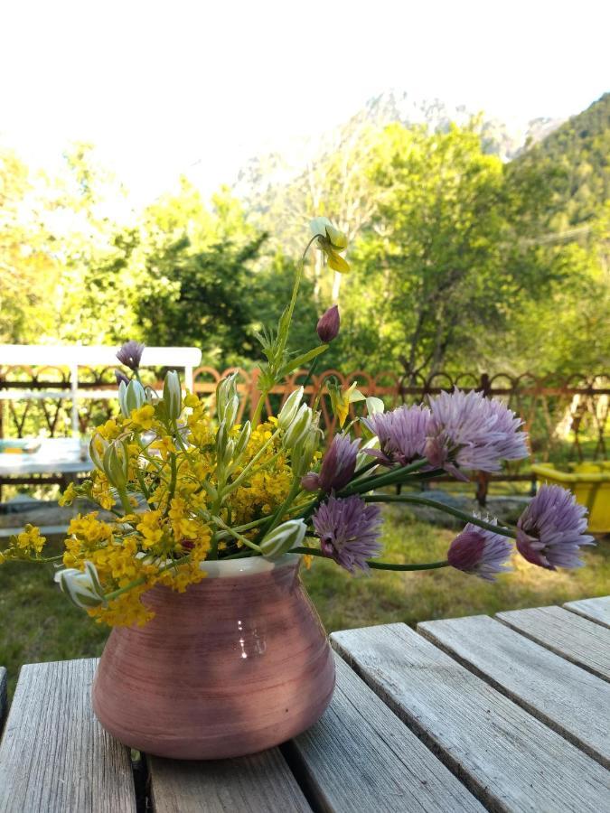 Chambre Ou Gite Dans Une Maison De Montagne - De Suzon A Zelie Entraigues  エクステリア 写真