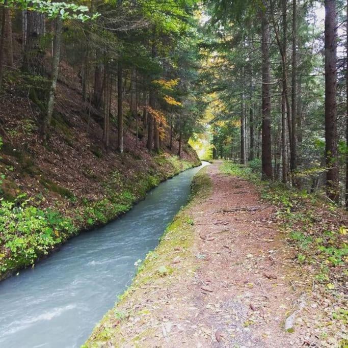 Chambre Ou Gite Dans Une Maison De Montagne - De Suzon A Zelie Entraigues  エクステリア 写真